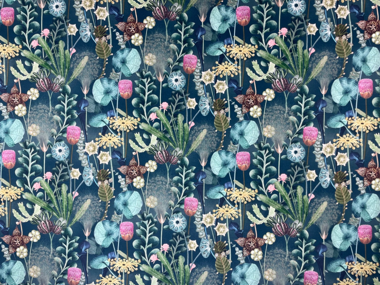 Fairy Garden Evergreen T484