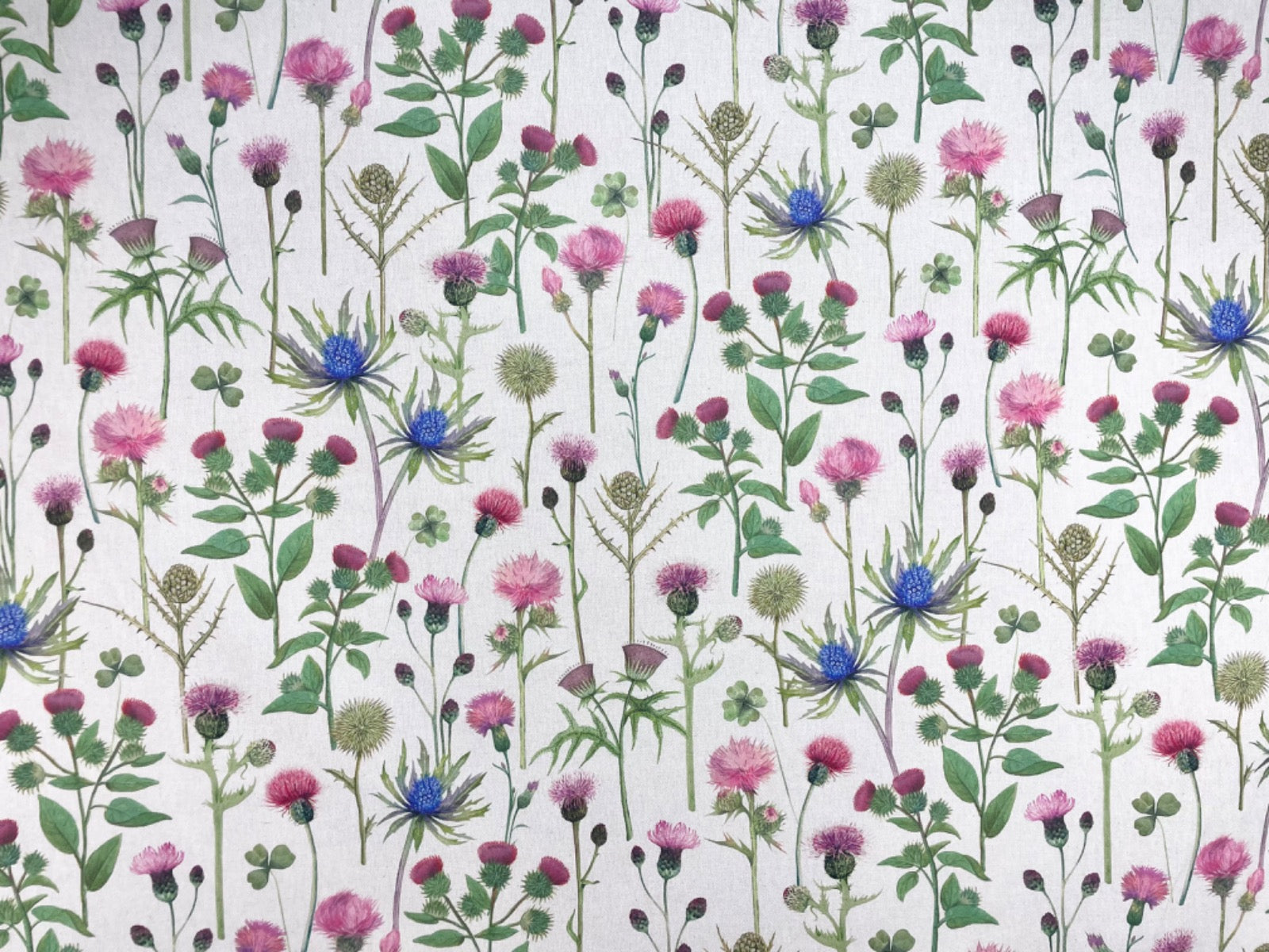 Thistle Garden Linen T485