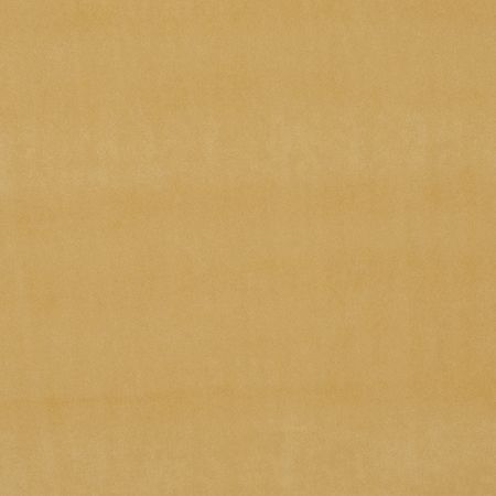 Clarke & Clarke Alvar Gold