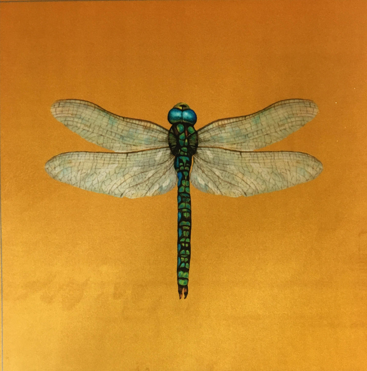 Shimmer Velvet Dragonfly Cushion Panel Gold