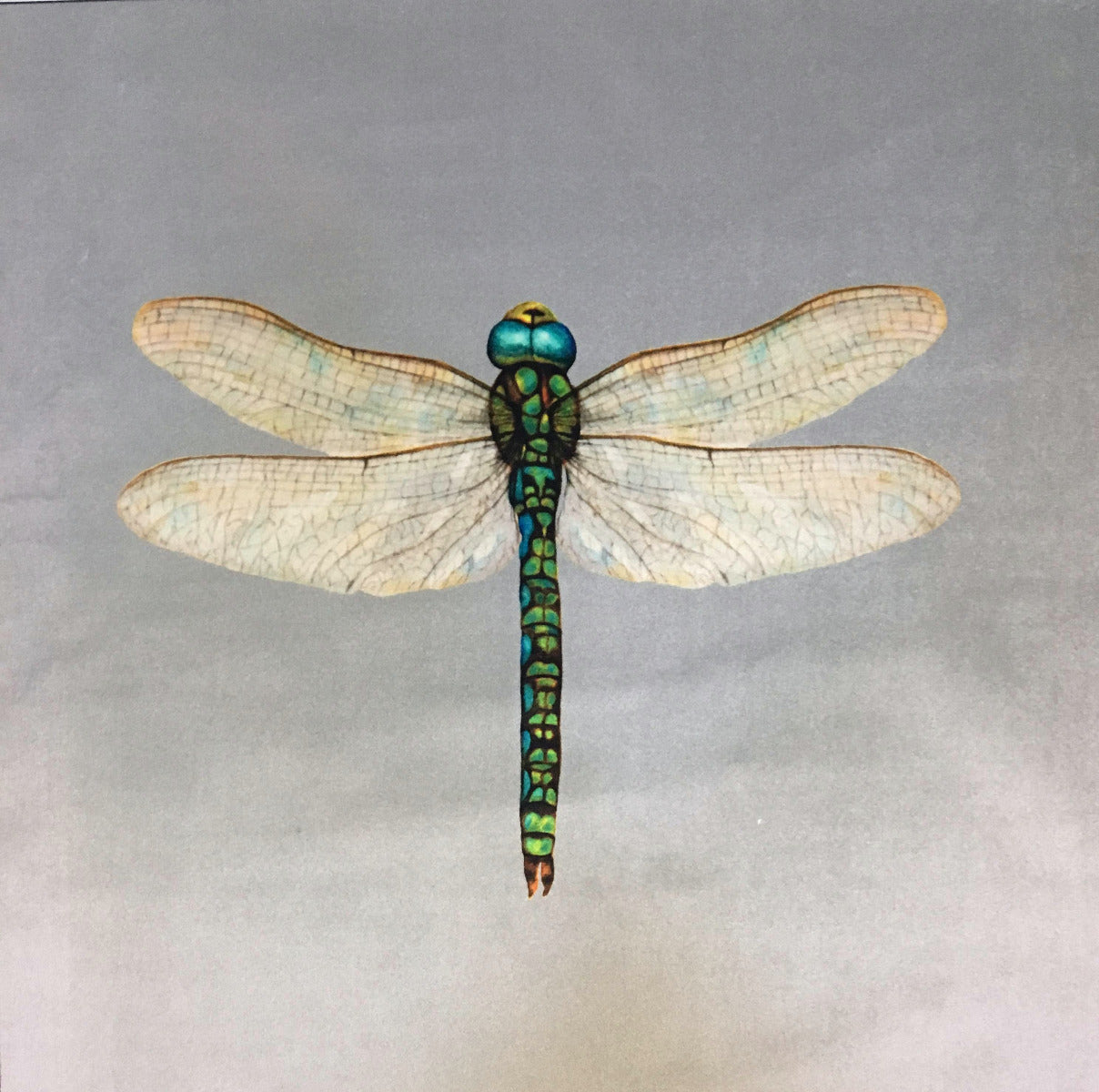 Shimmer Velvet Dragonfly Cushion Panel Grey