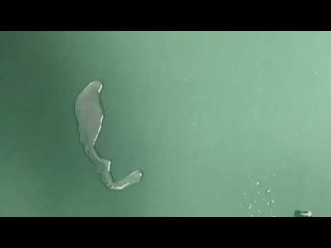 J03 Tex Ex Outdoor Heavy PU Coated Polyester Bottle Green