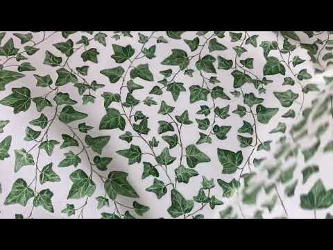 T527 Ivy Branch Off White