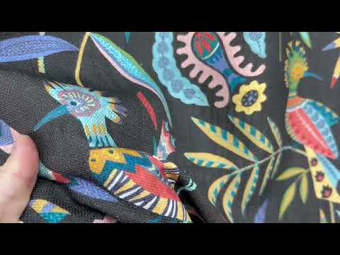 ILiv Hoopoe Charcoal