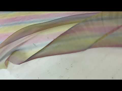 F149 Rainbow Organza