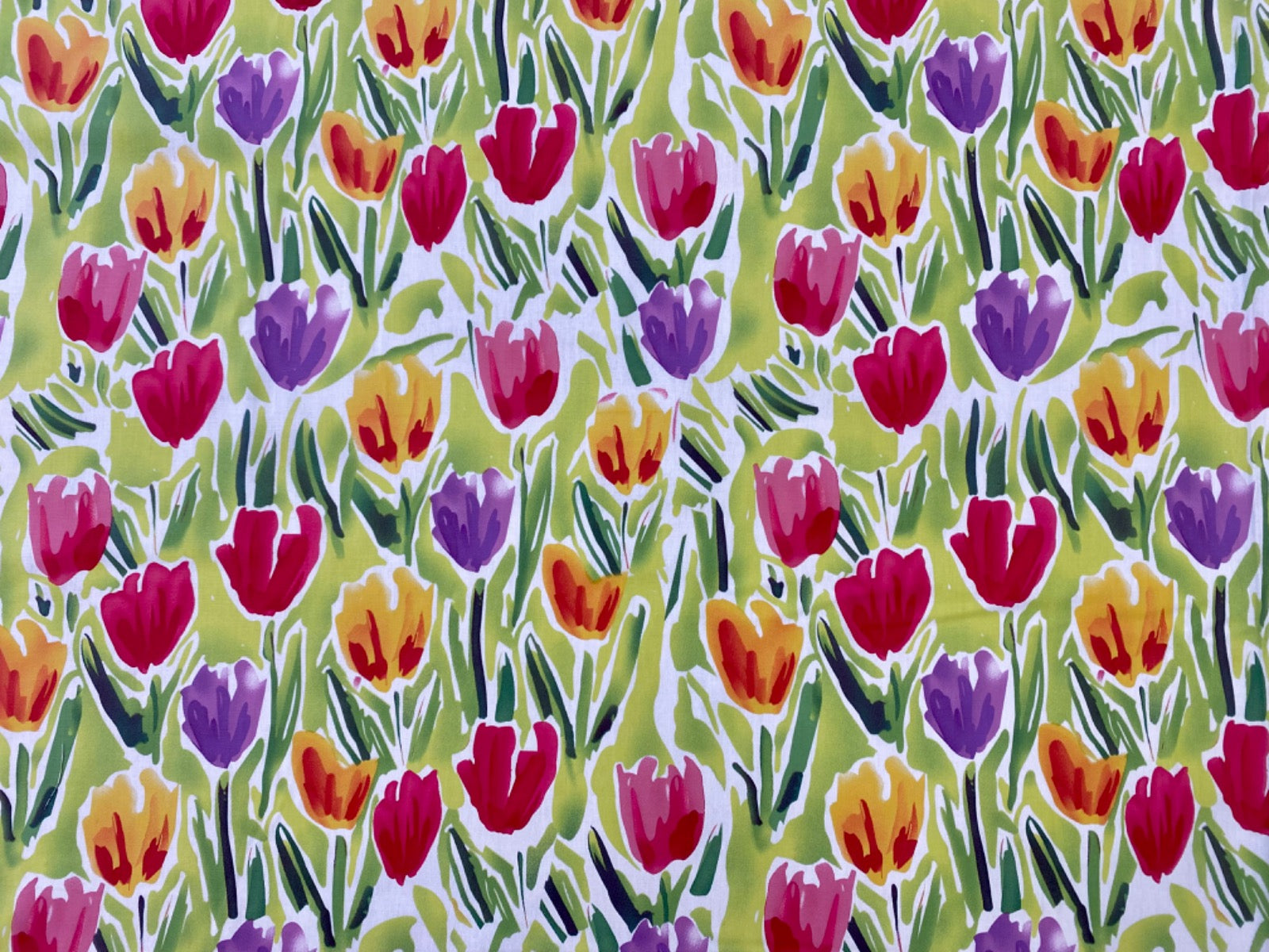 Tex Ex 2840 Tulip Field Multi
