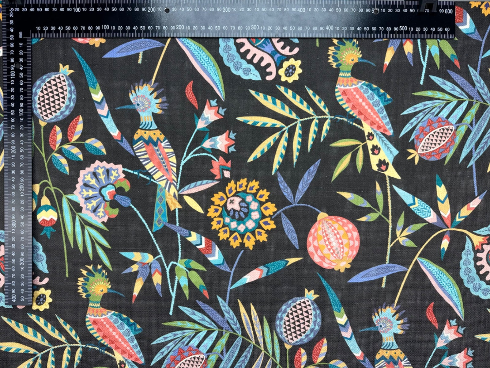 ILiv Hoopoe Charcoal