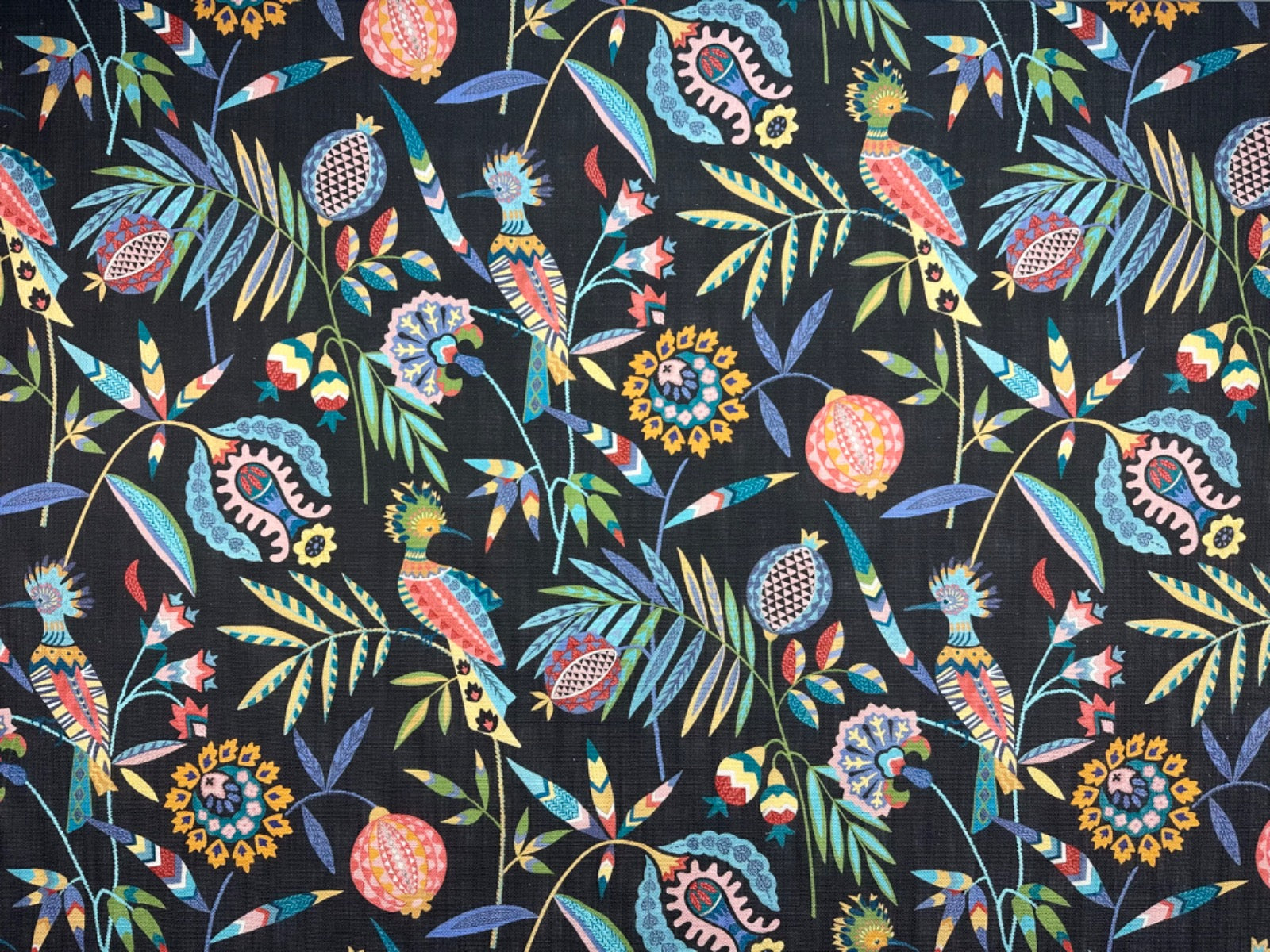 ILiv Hoopoe Charcoal