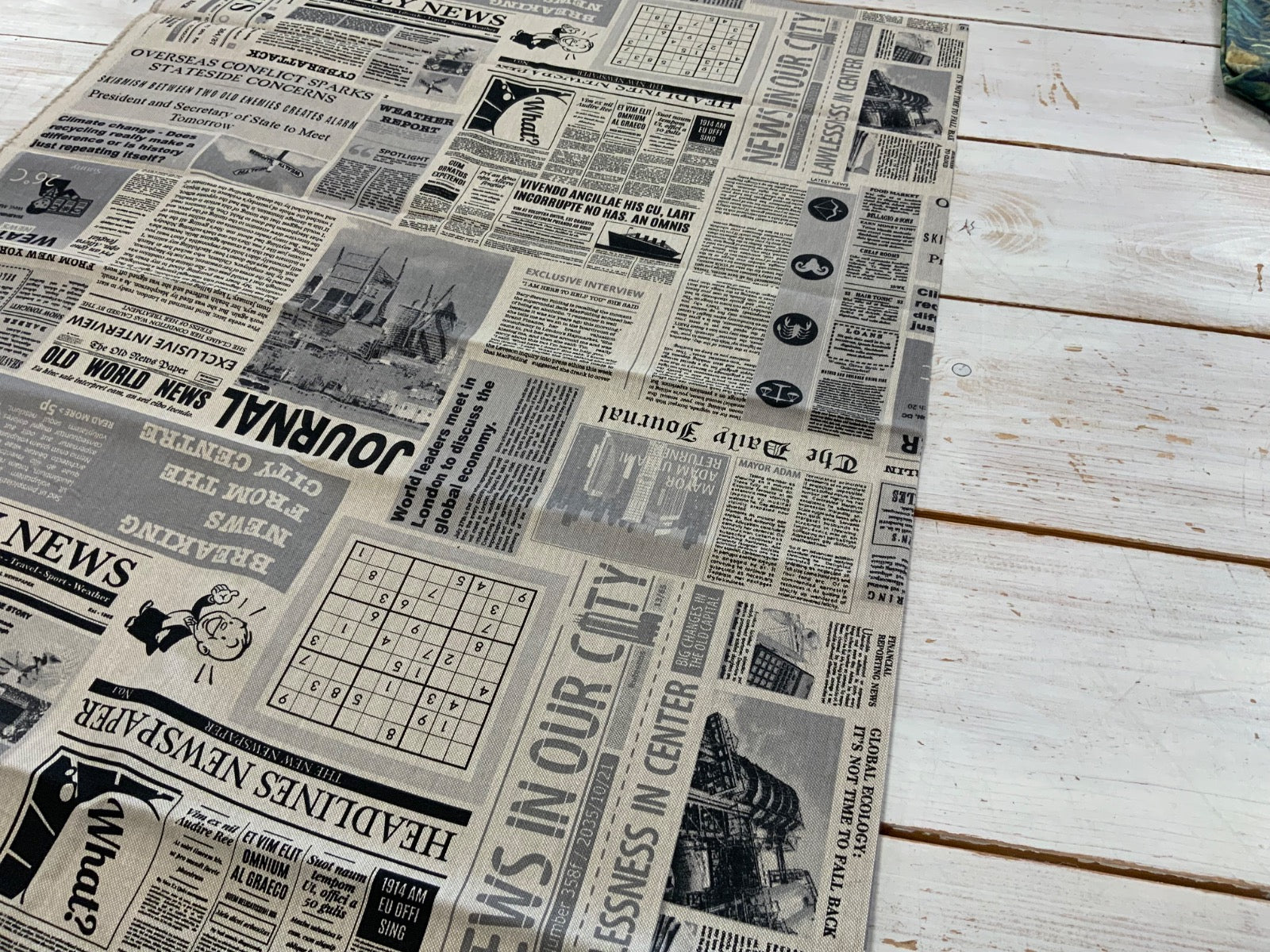 RE3973 1m newspaper print (140cm wide)