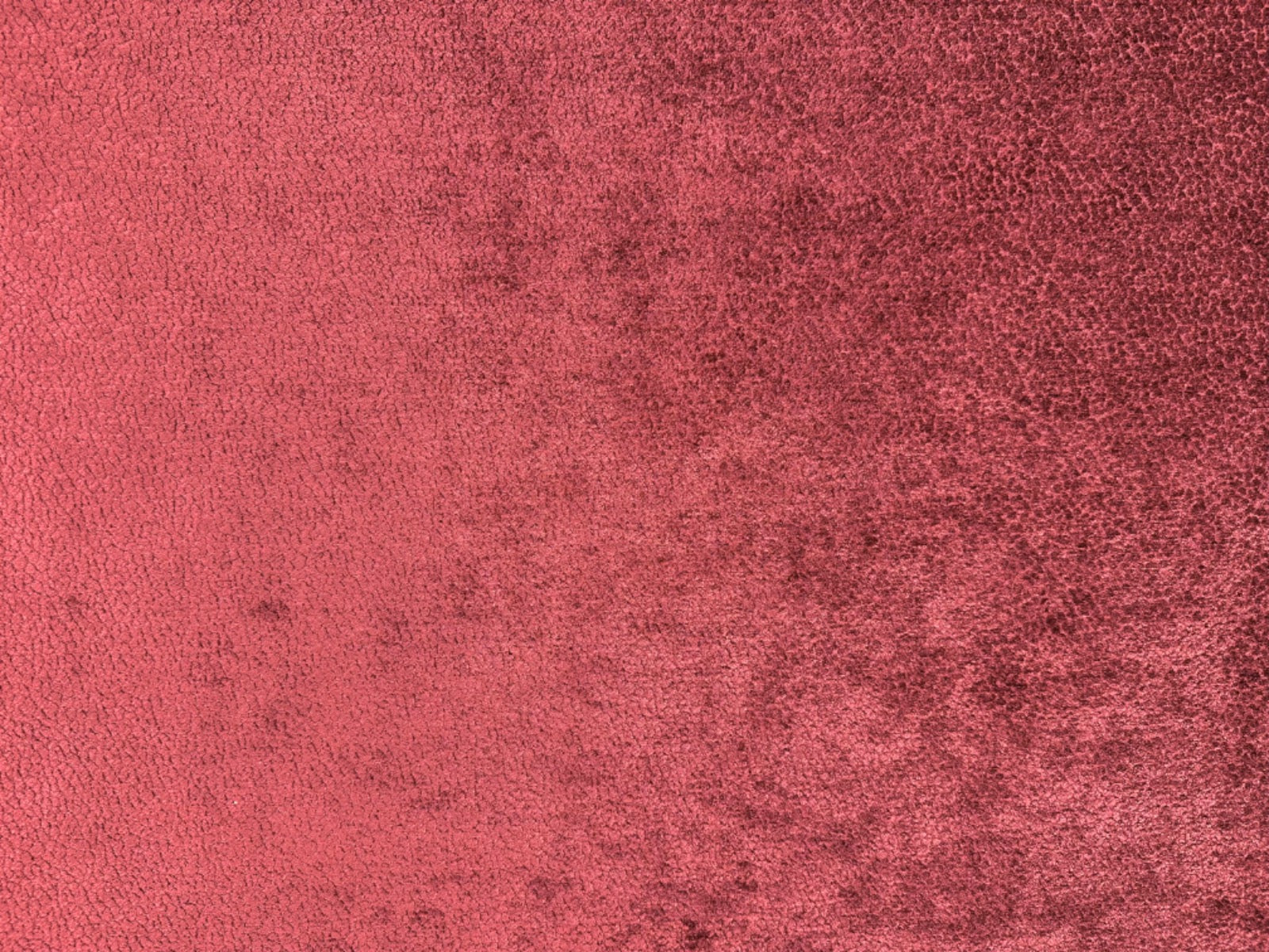 Tex Ex 2868 Bexley Bordeaux