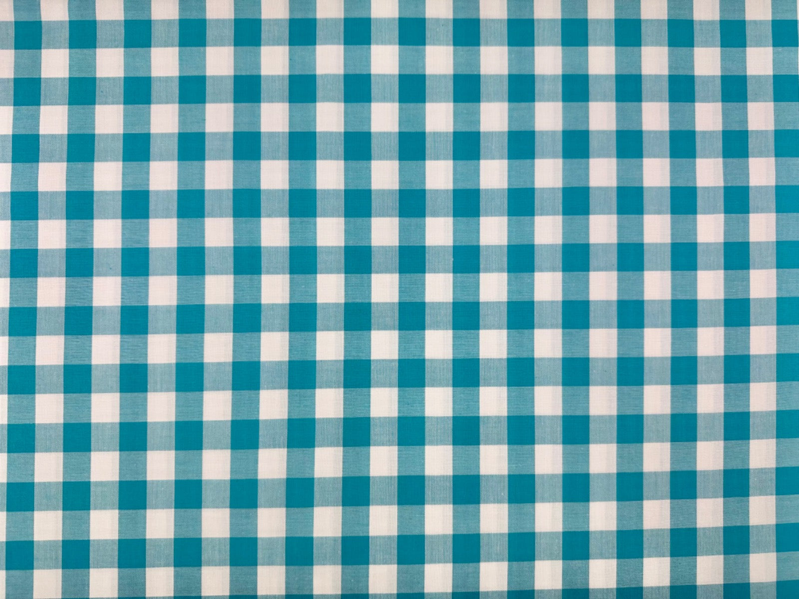 C782 17mm Woven Cotton Gingham Turquoise