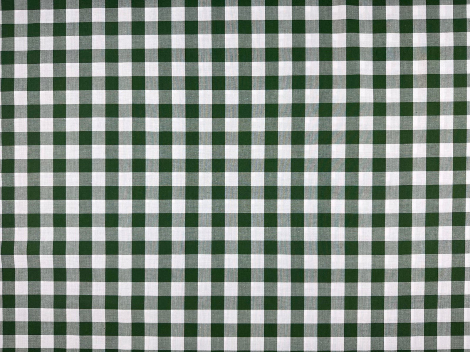 C784 17mm Woven Cotton Gingham Forest