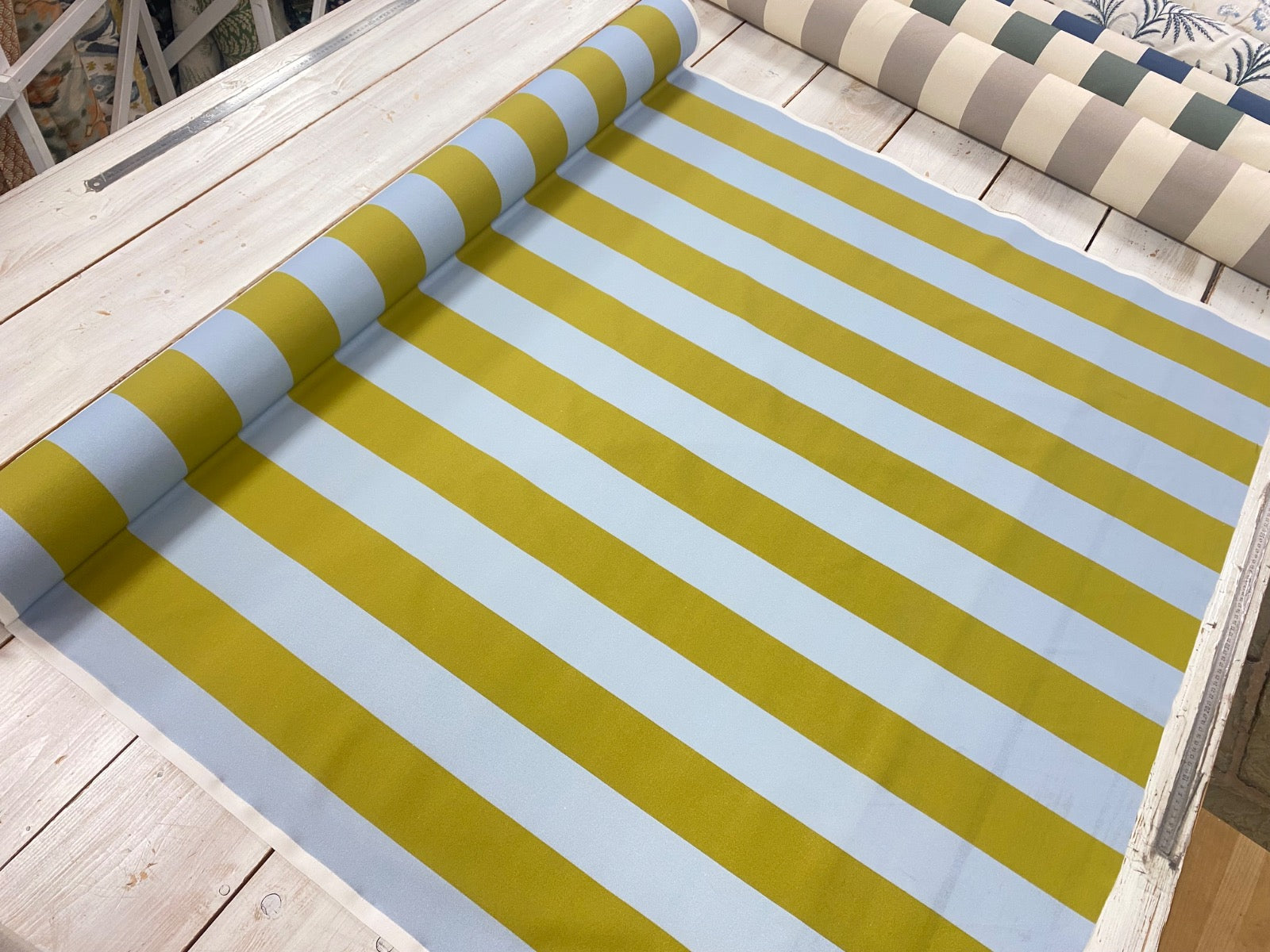 The Bold Stripe Summer S289