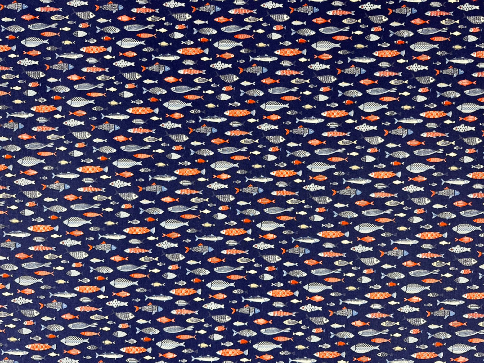 H371 Funky Fish Marine