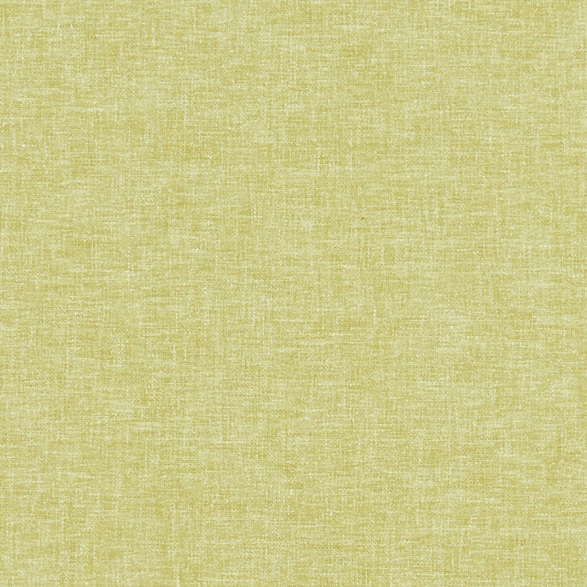 Clarke & Clarke Kelso Citrus