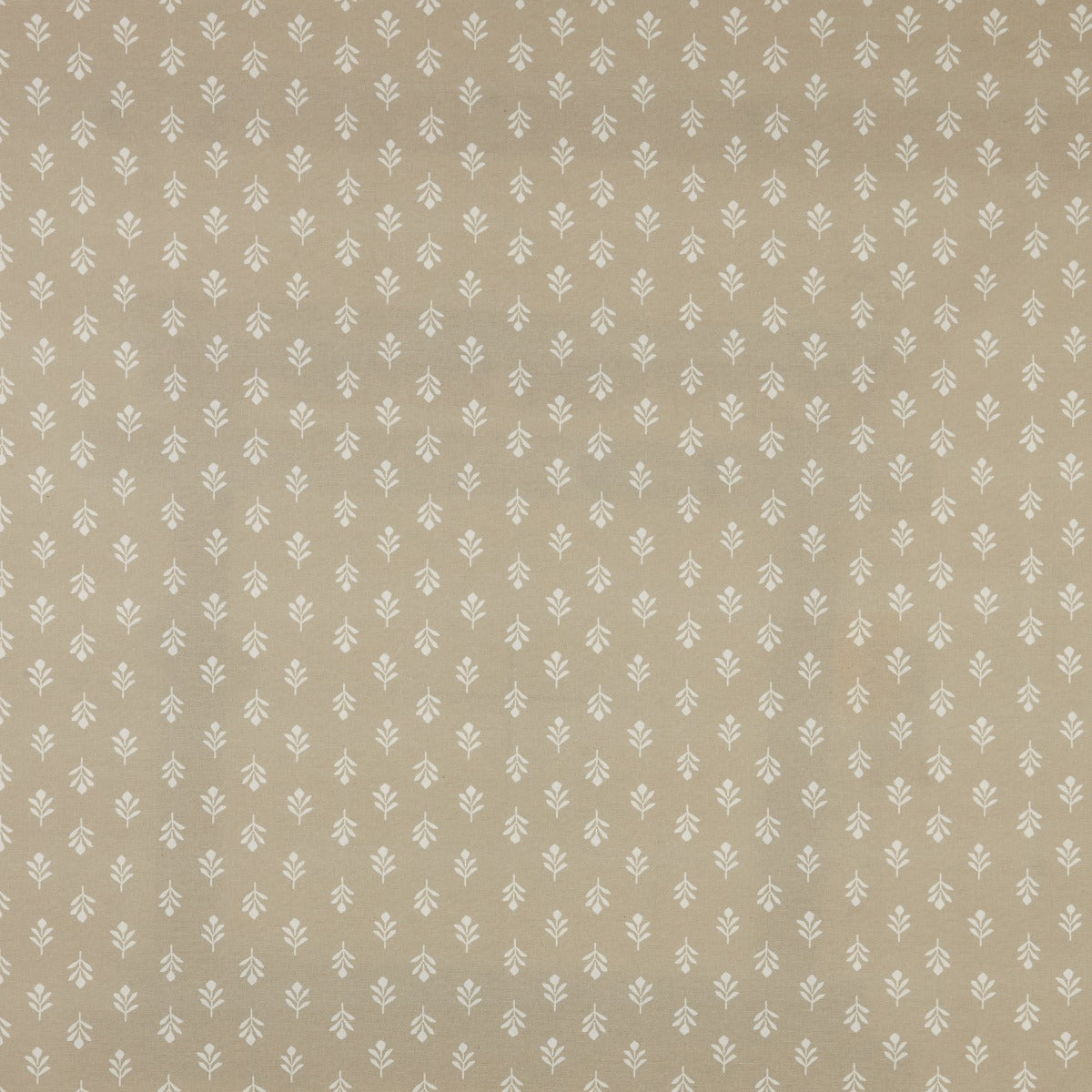 iLiv Little Bud Cloud