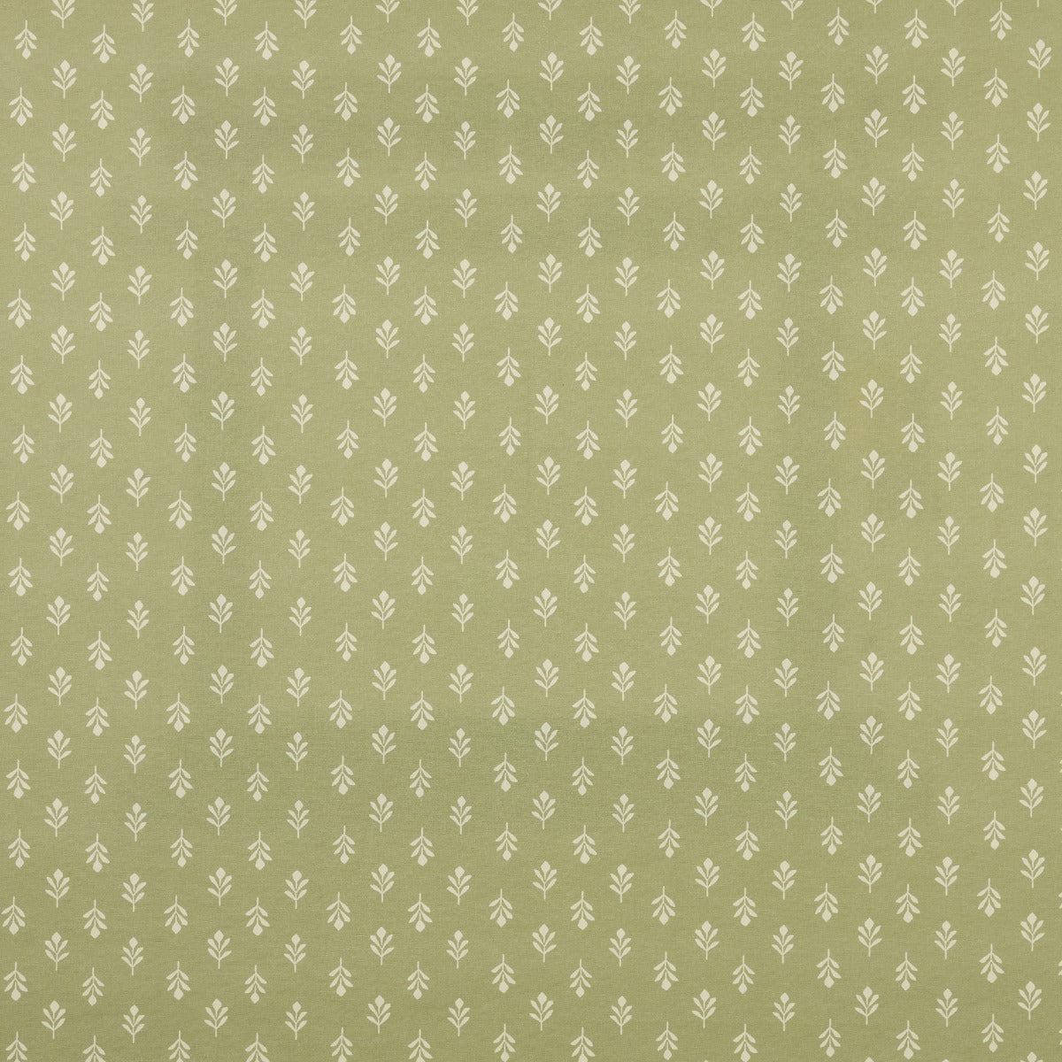 iLiv Little Bud Fennel