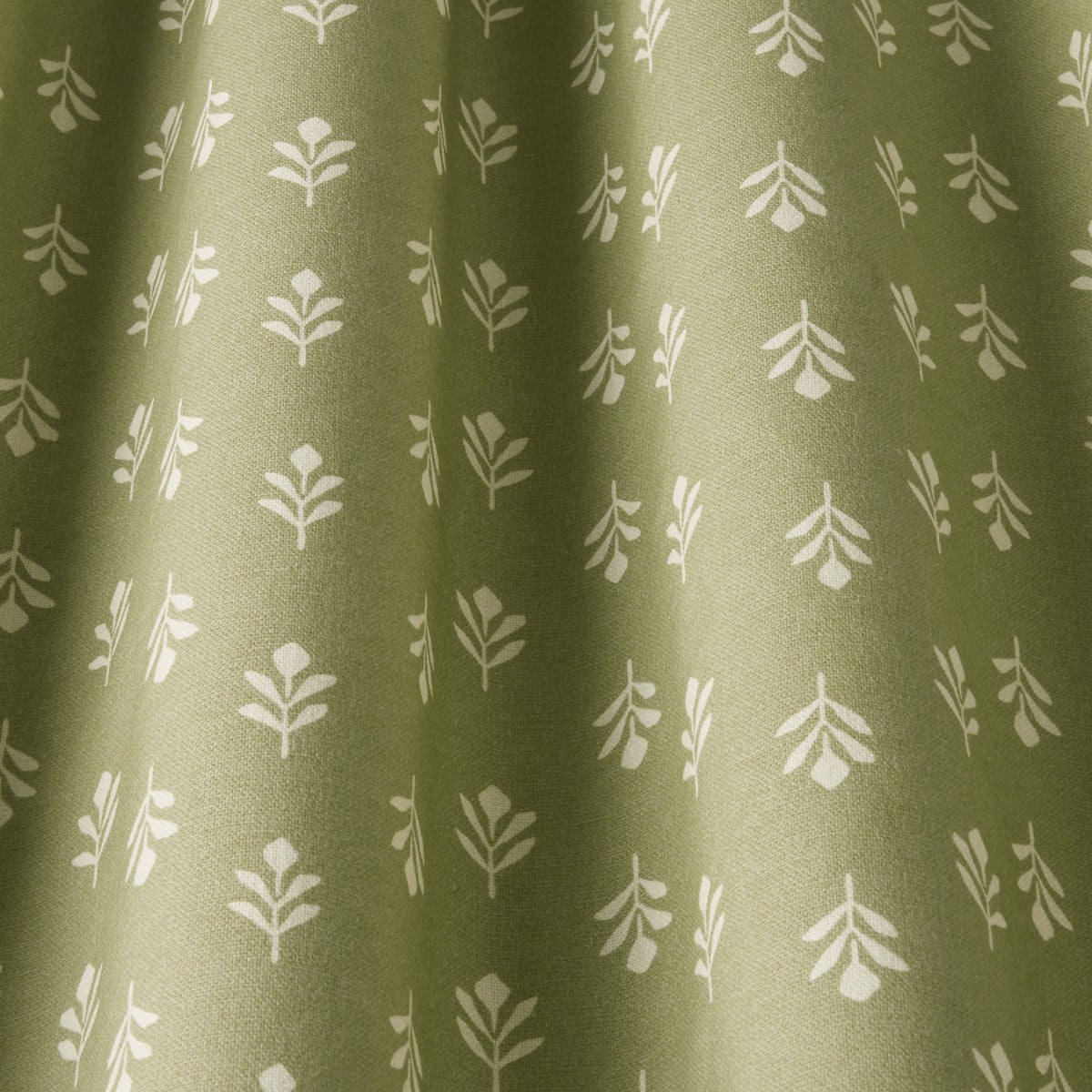 iLiv Little Bud Fennel