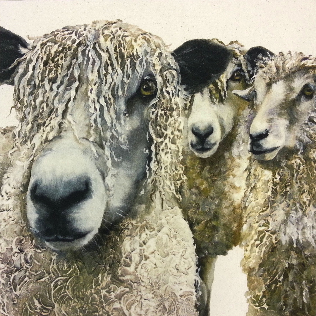 Organic Cotton Farmyard Faces Longwool Flock Natural Panel