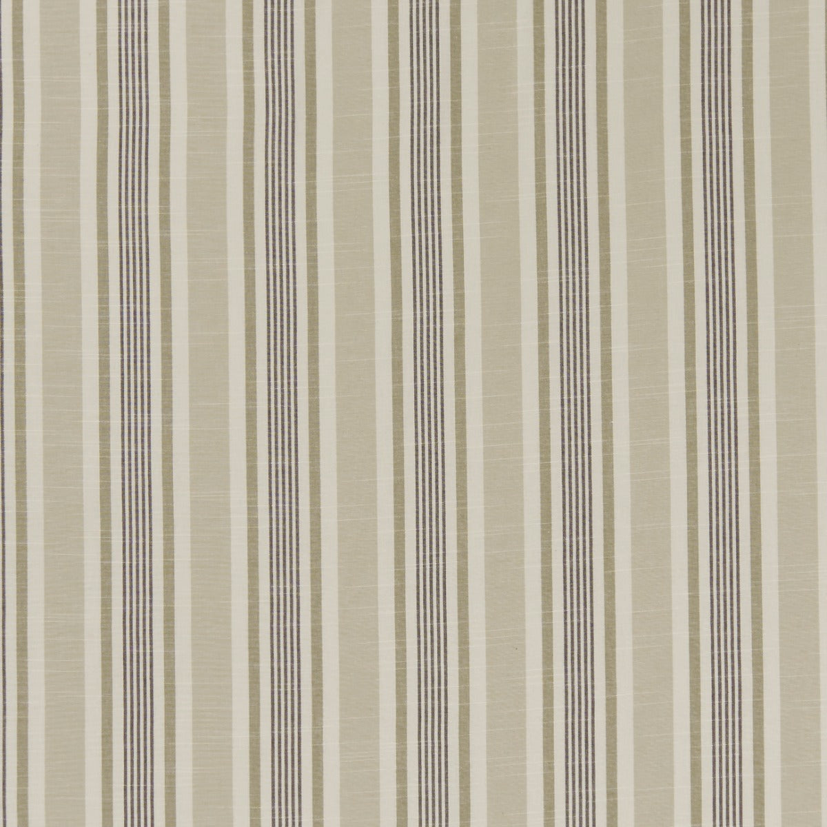 Clarke & Clarke Mappleton Charcoal