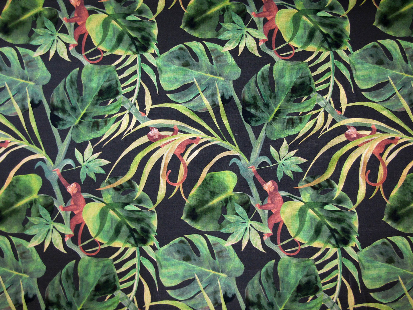 Clarke & Clarke Monkey Business Charcoal