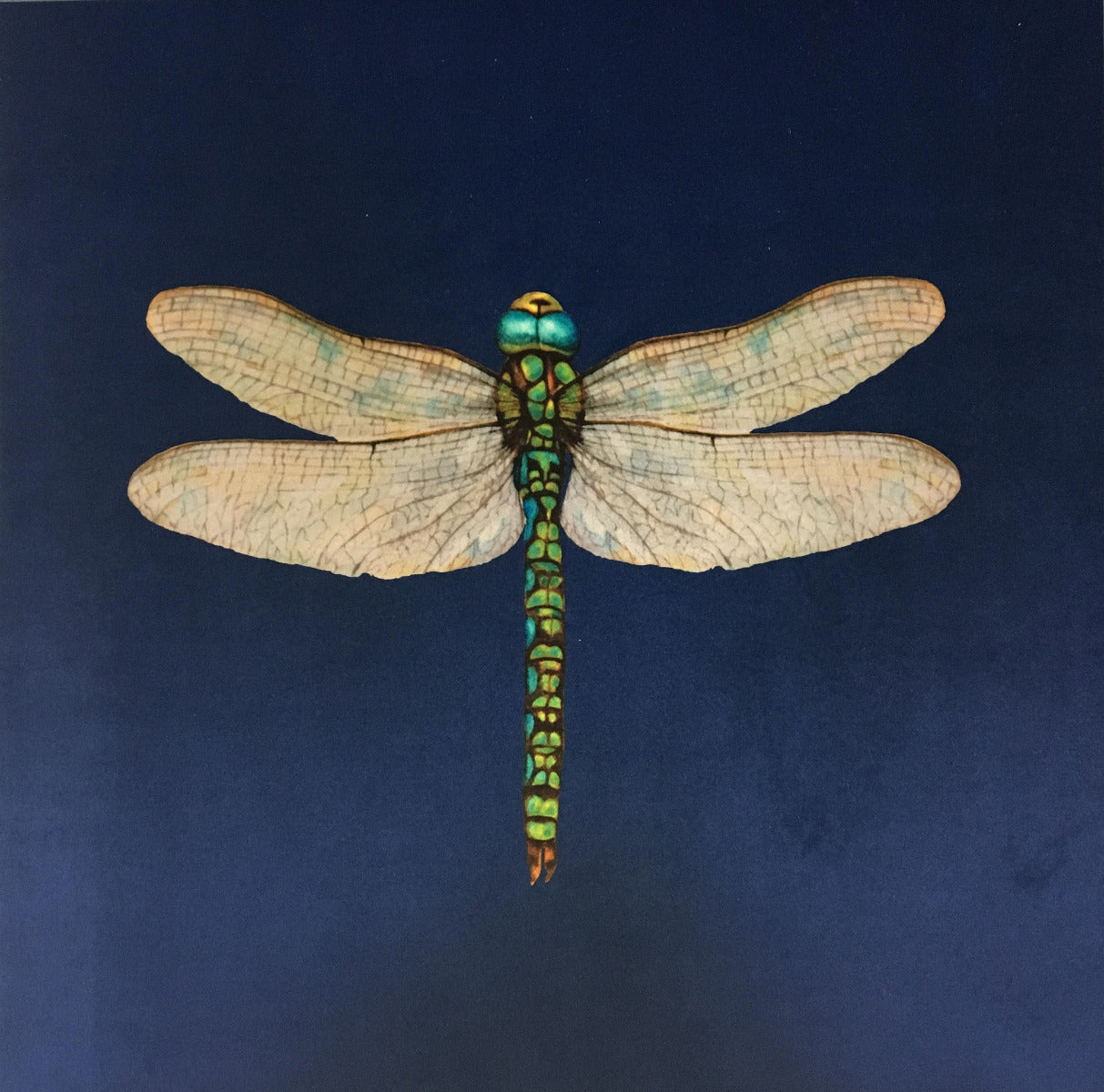 Shimmer Velvet Dragonfly Cushion Panel Navy