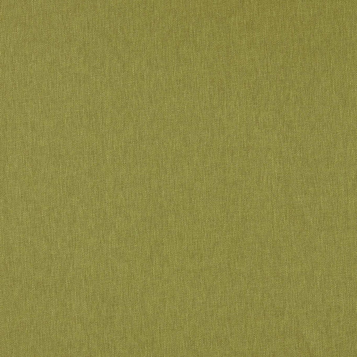 Clarke & Clarke Orla Olive