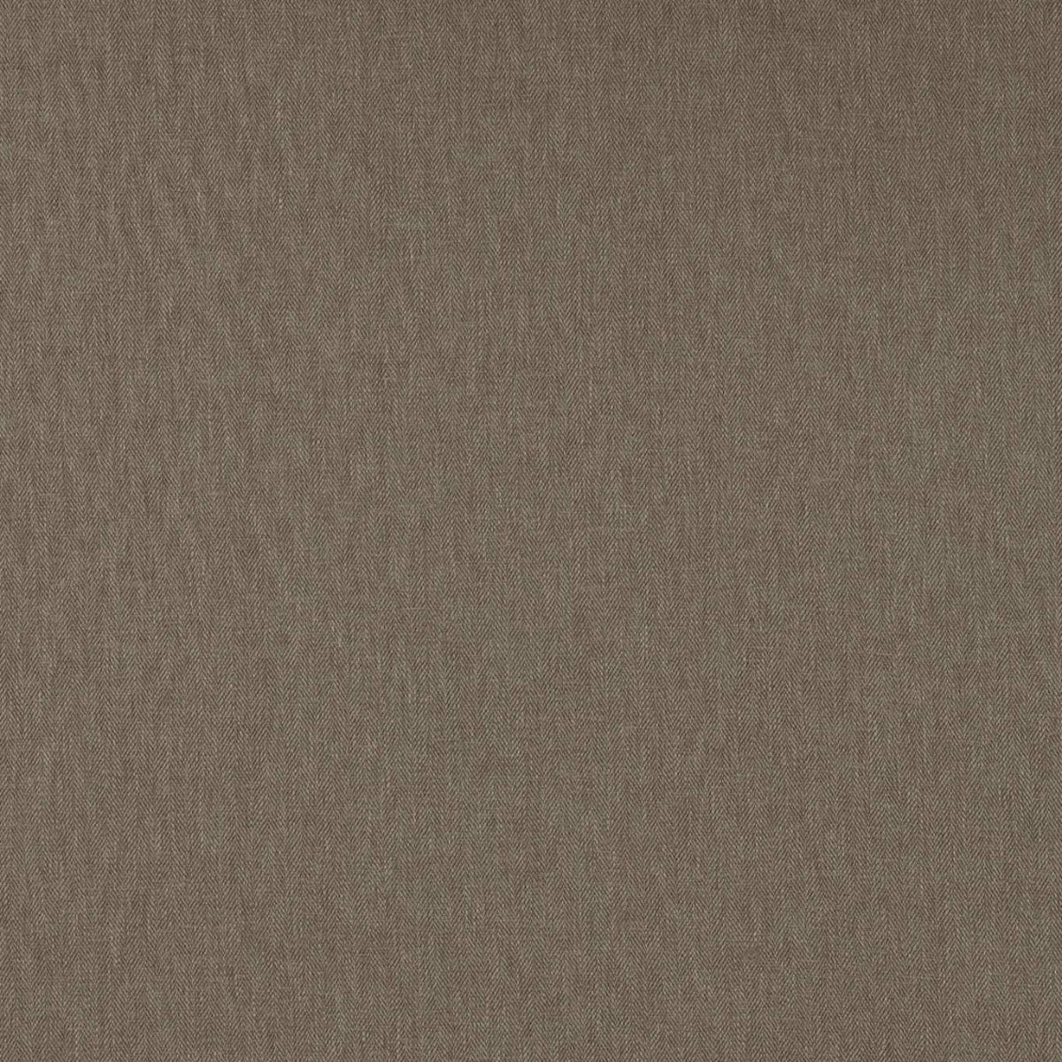 Clarke & Clarke Orla Putty