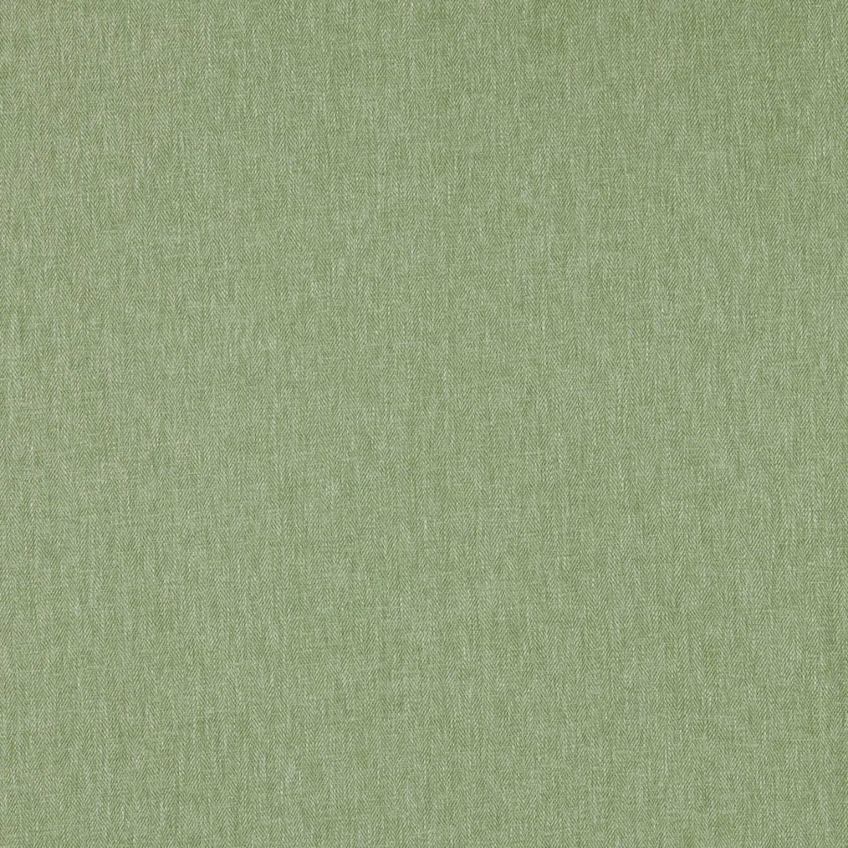 Clarke & Clarke Orla Sage