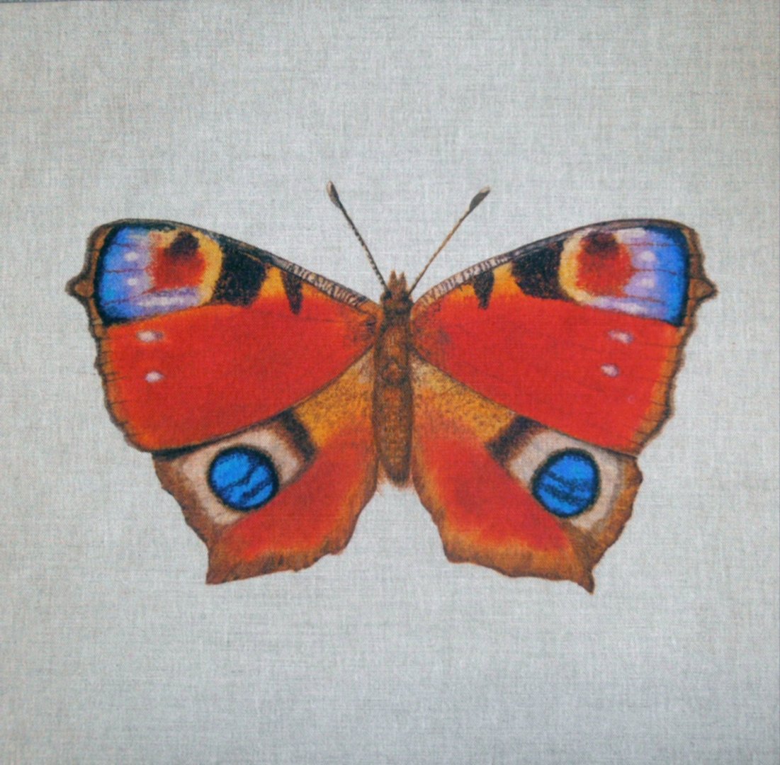 Peacock British Butterflies Cushion Panel