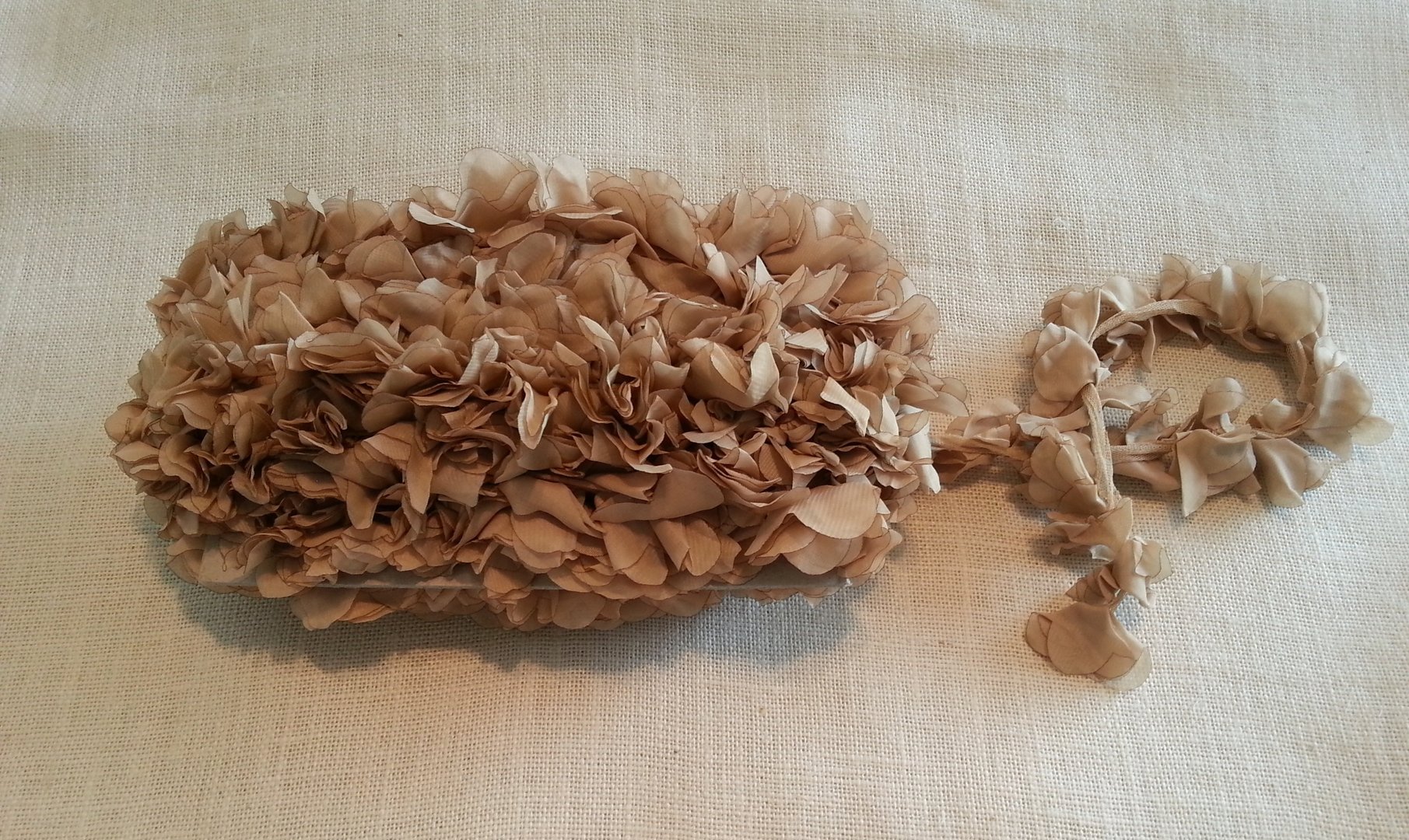 Petal Mesh Trim Cappuccino