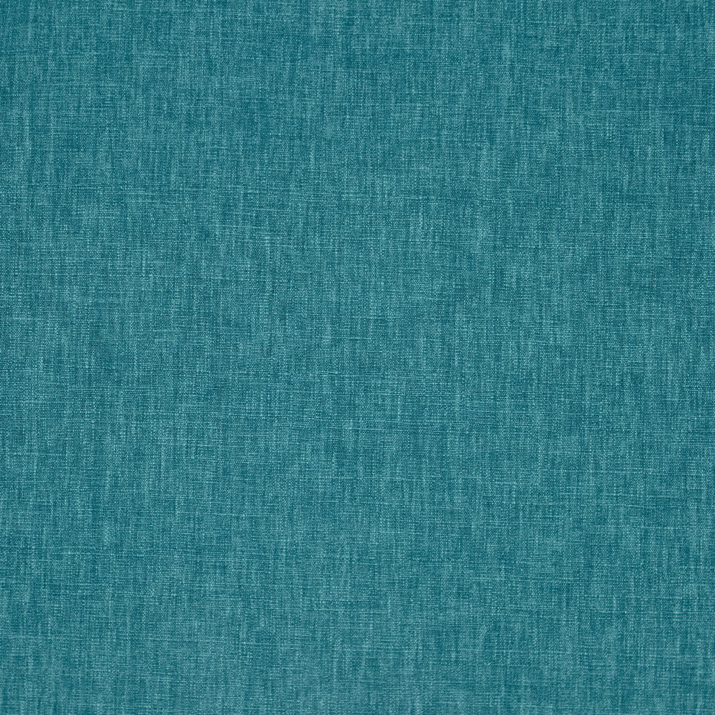 Prestigious Iceland Peacock