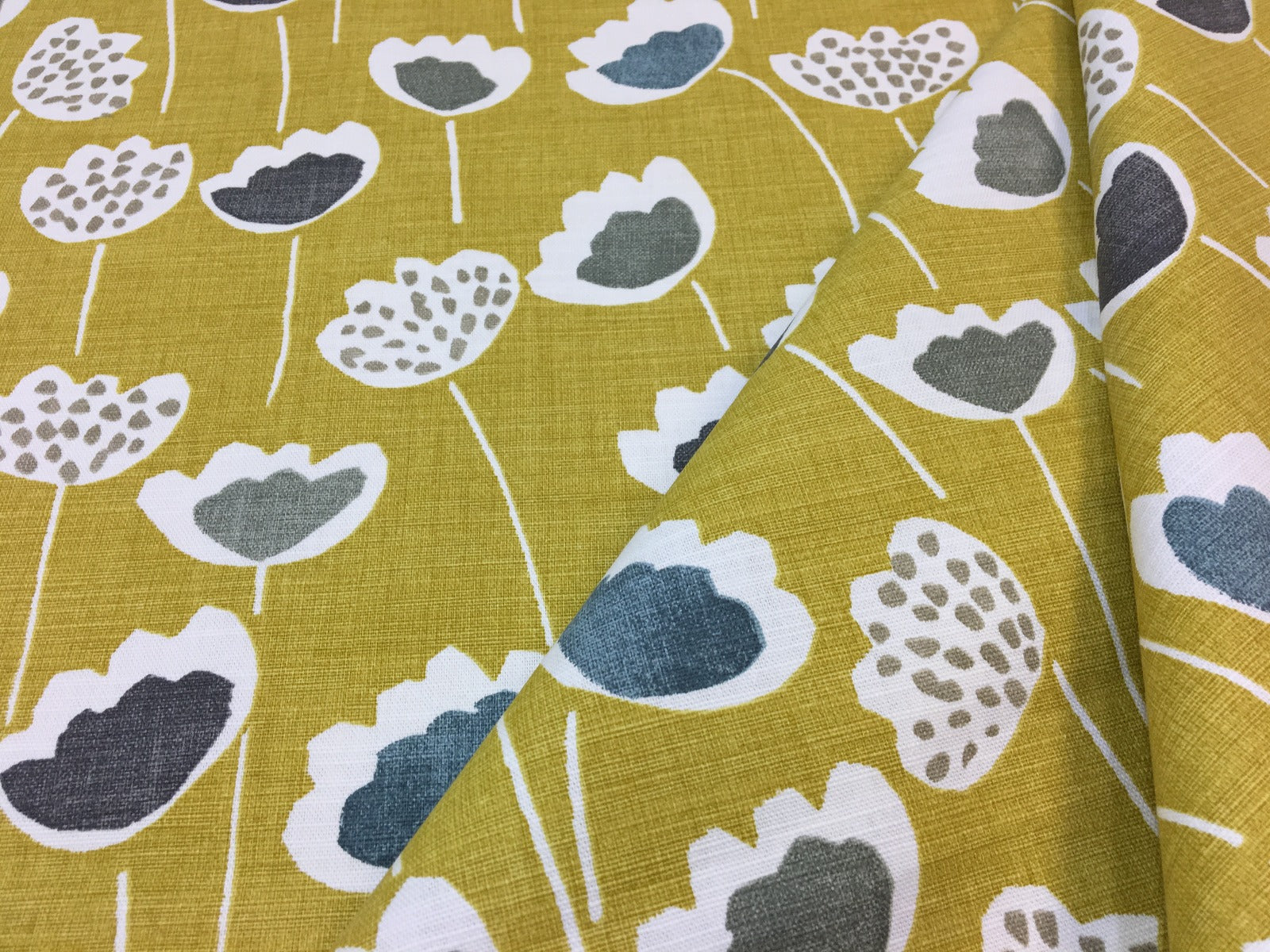 Prestigious Clara Saffron