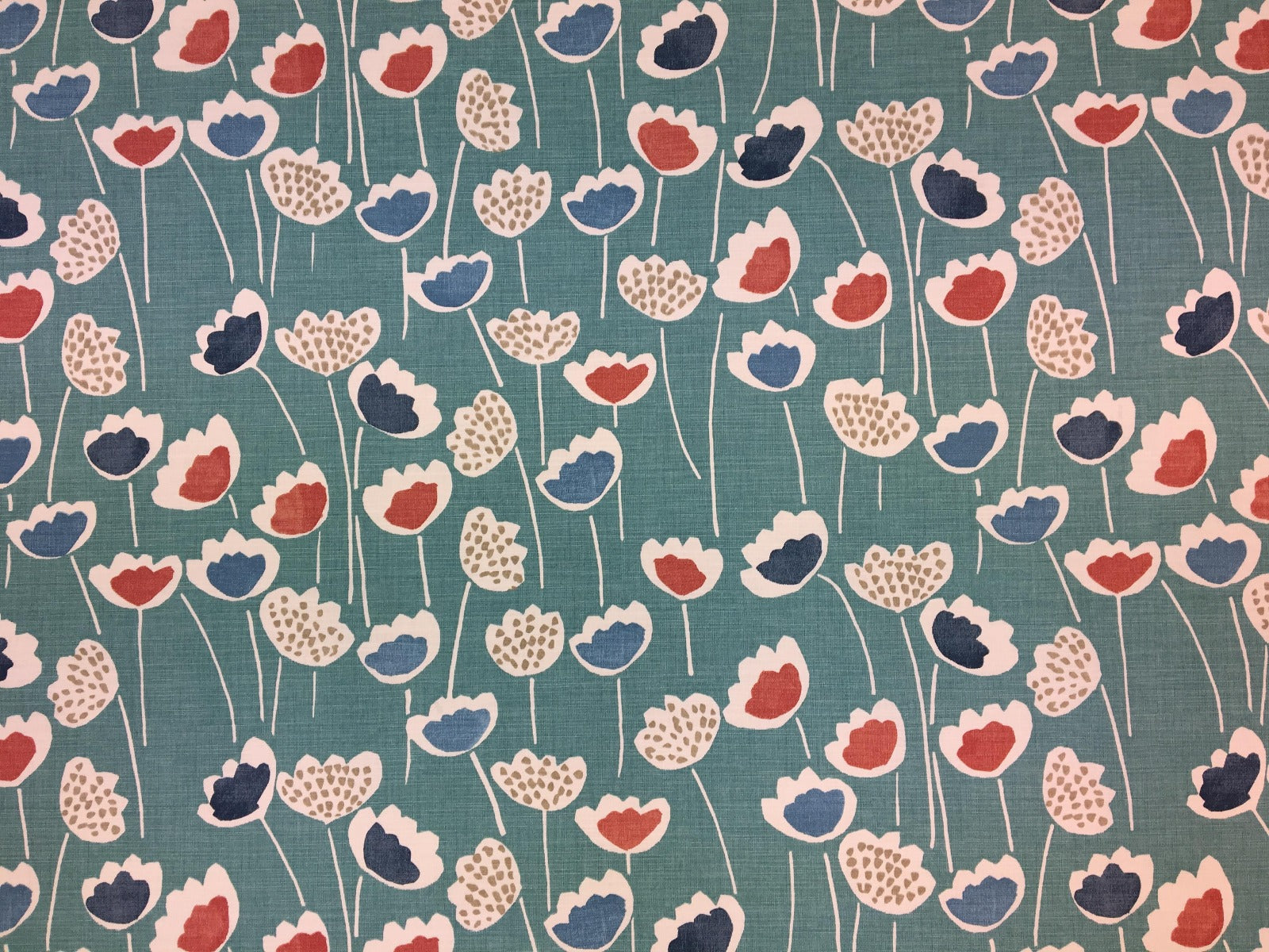 Prestigious Clara South Pacific