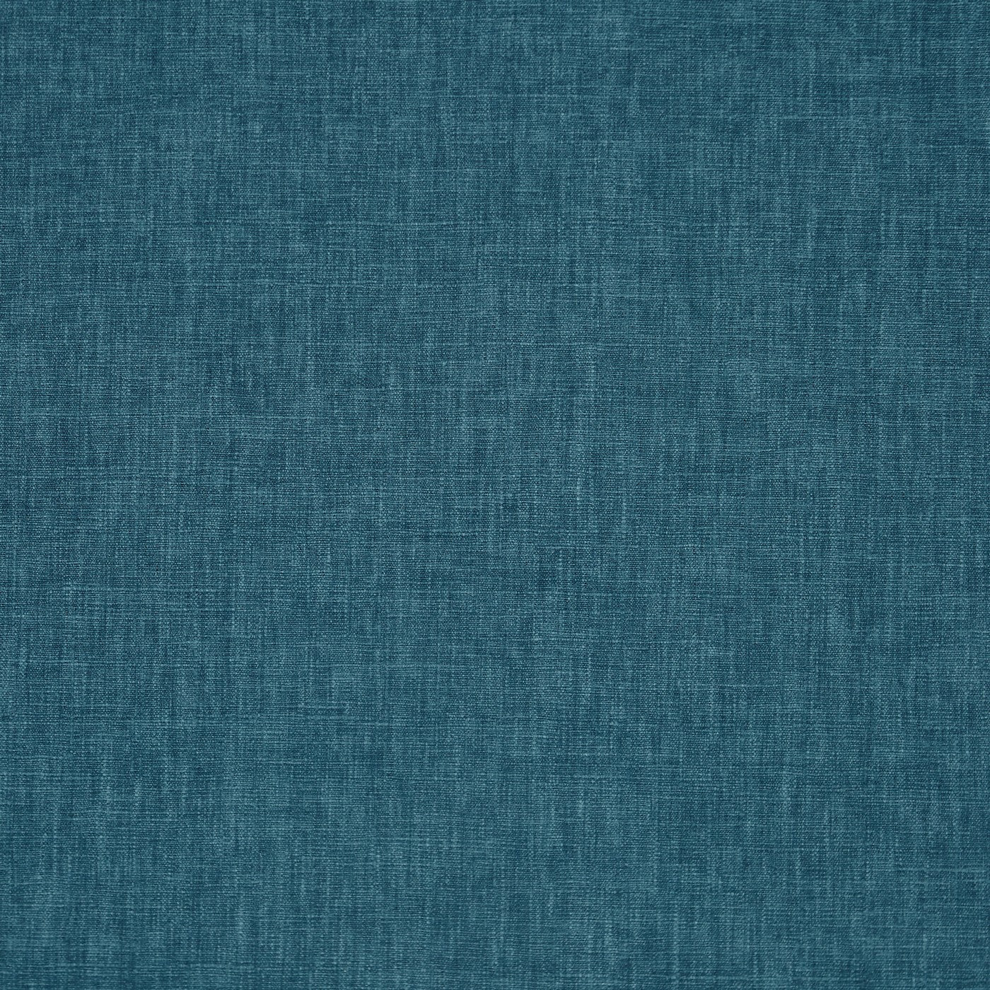 Prestigious Iceland Kingfisher