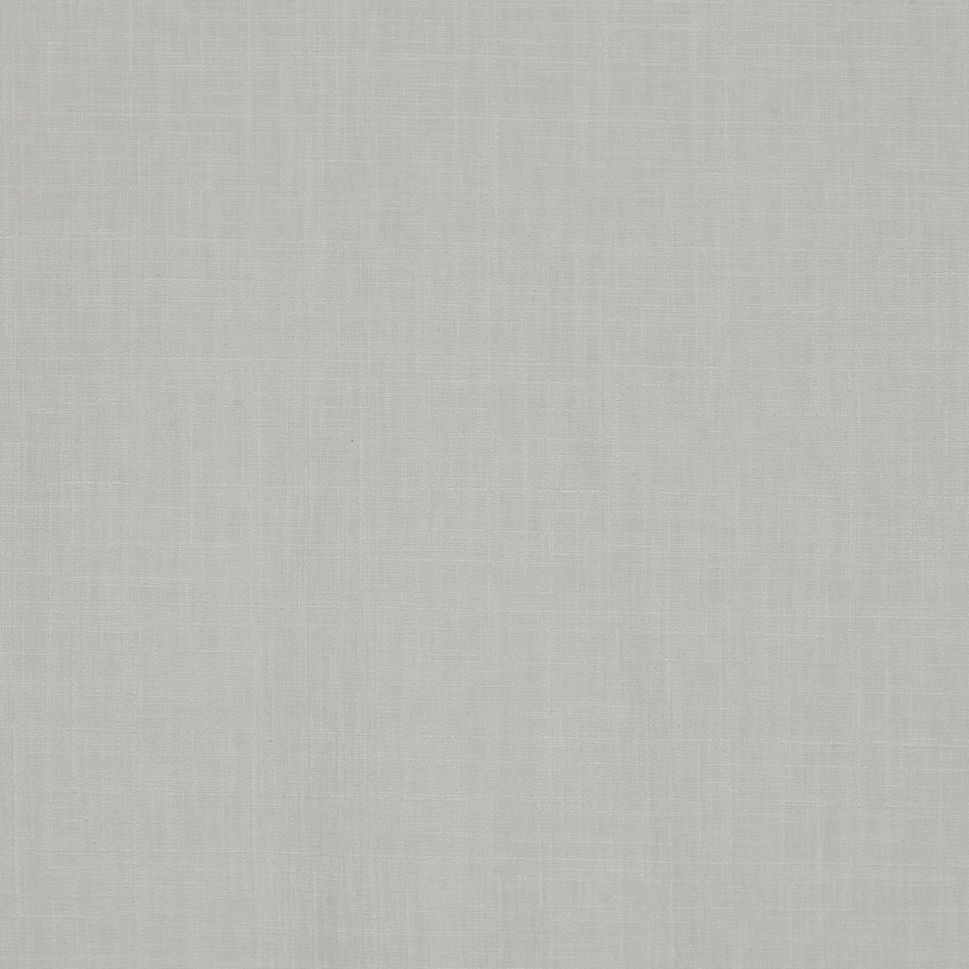 Prestigious Iceland Lily