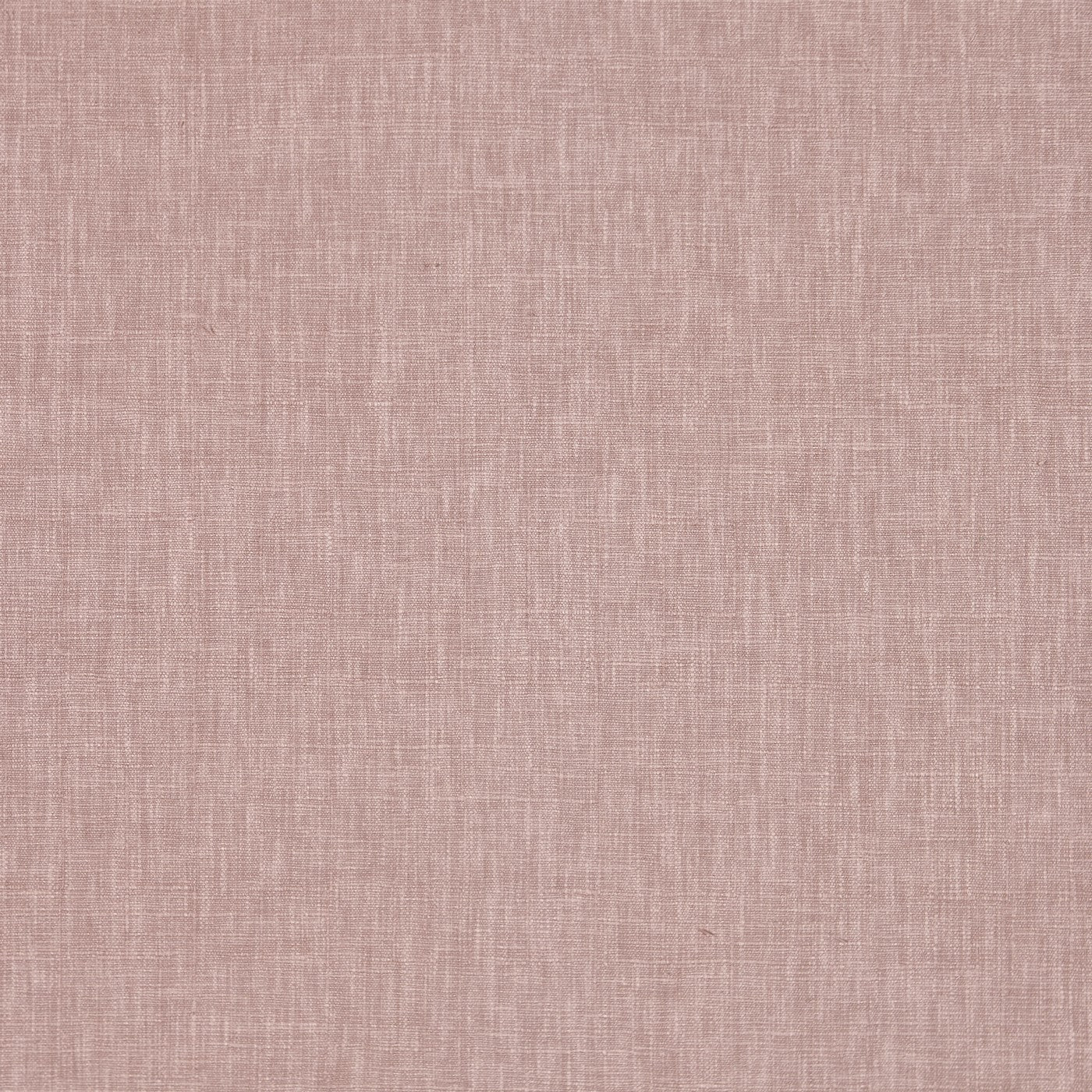 Prestigious Iceland Plaster