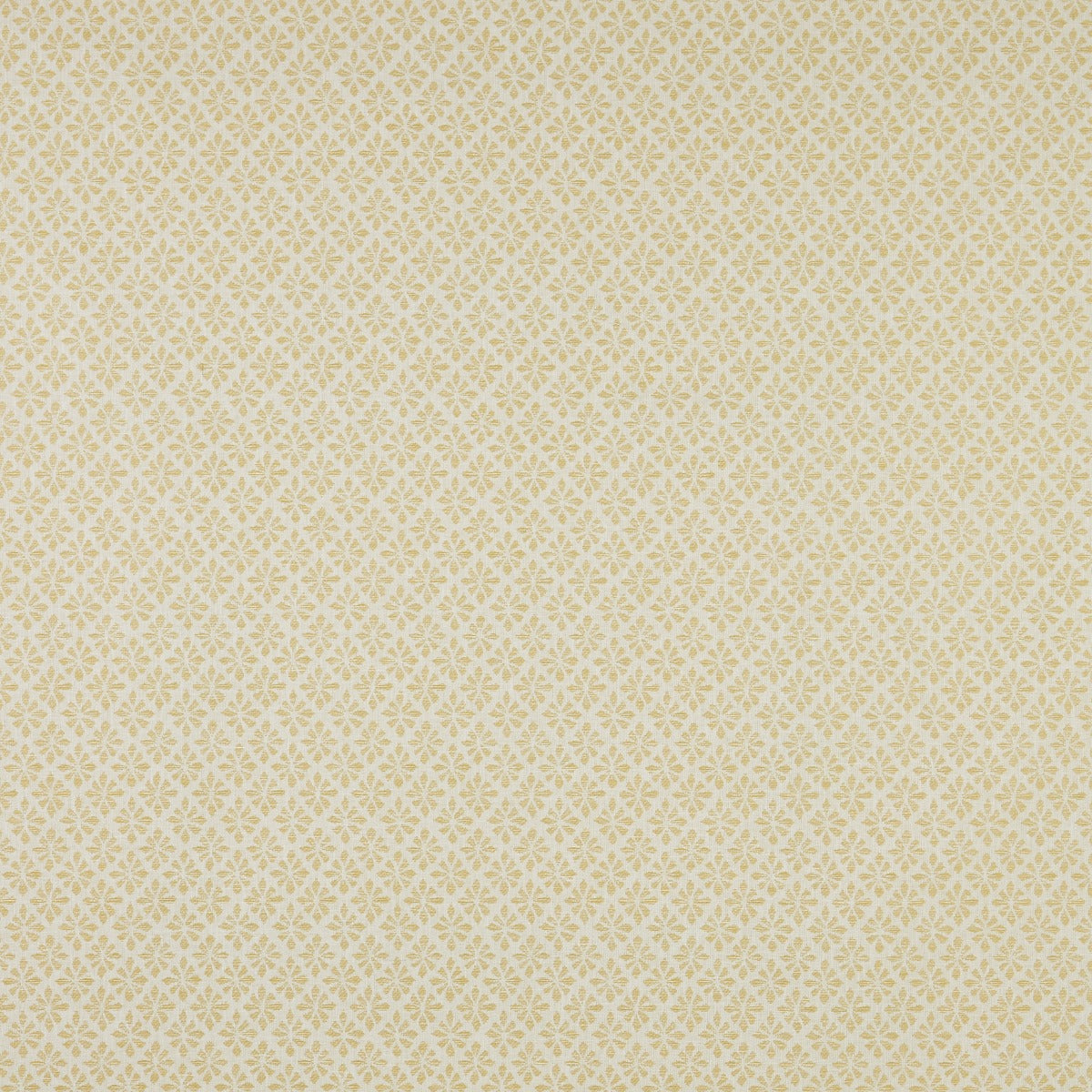 iLiv Samphire Barley