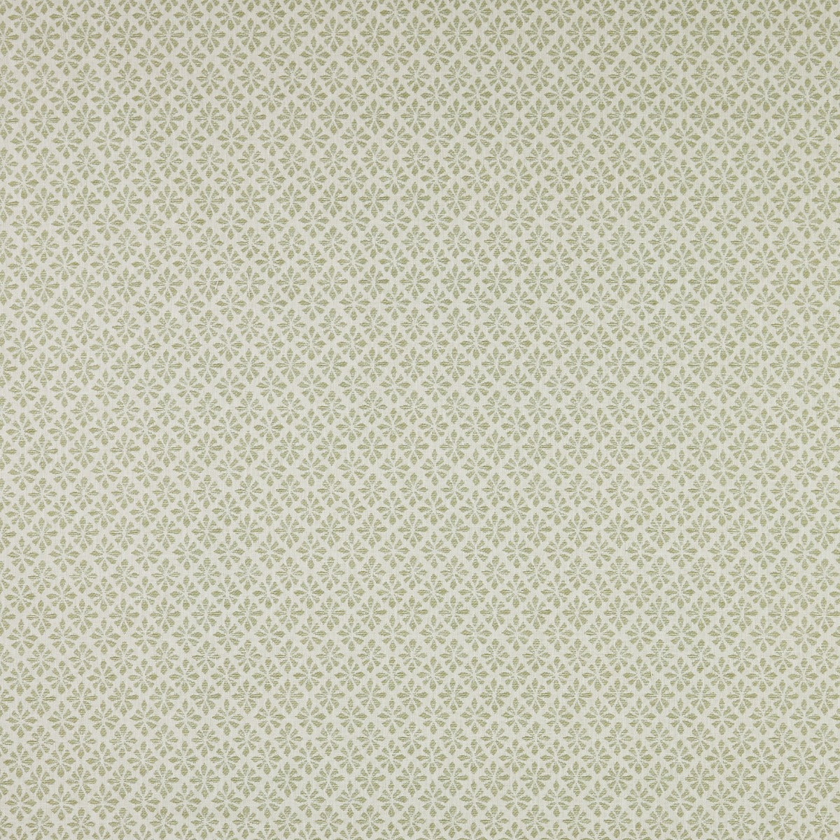 iLiv Samphire Fennel