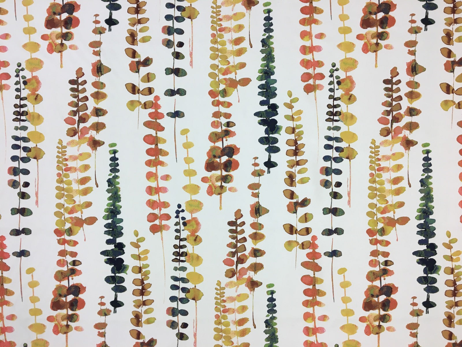 Prestigious Santa Maria Tango