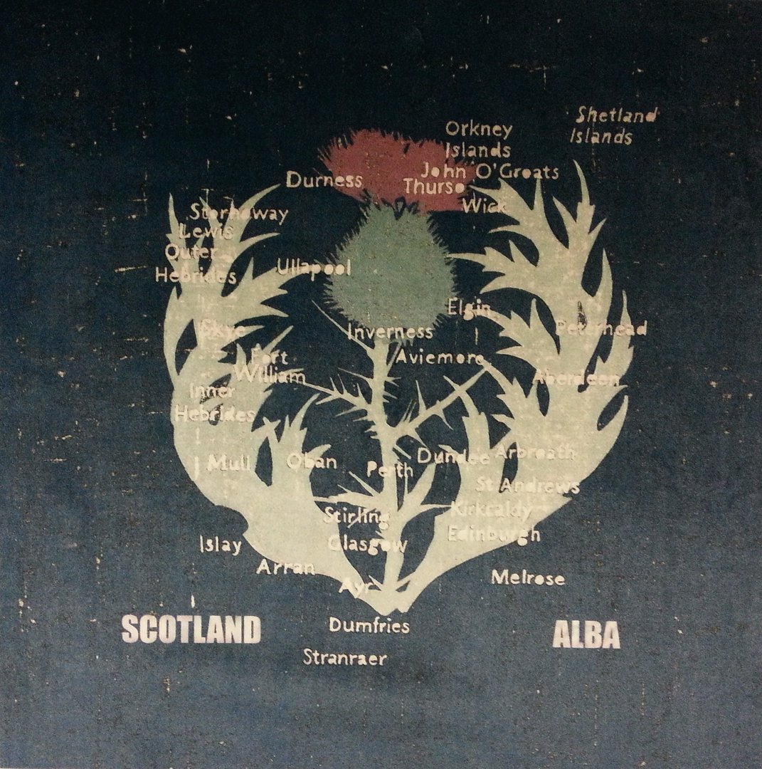 Tex Ex Scottish Thistle Map Shimmer Velvet Cushion Panel