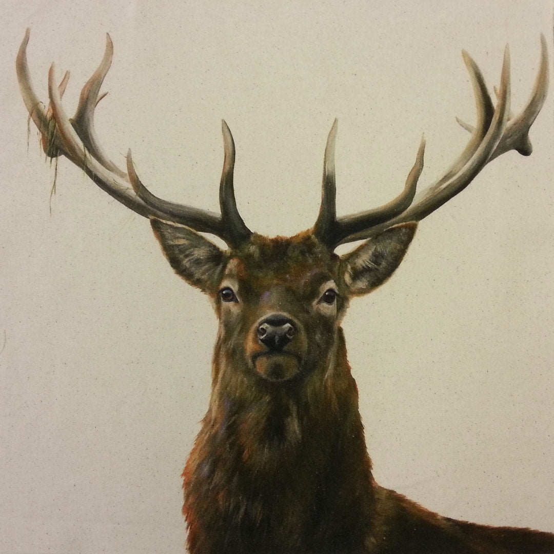 Organic Cotton Farmyard Faces Stag Natural Panel