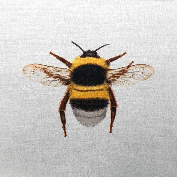 Bumblebee Cushion Panel
