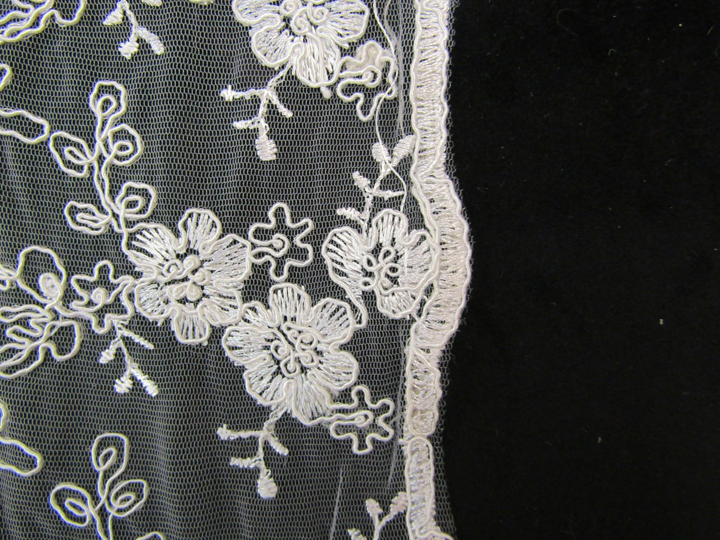 Floral Corded Mesh White Tex Ex 1752