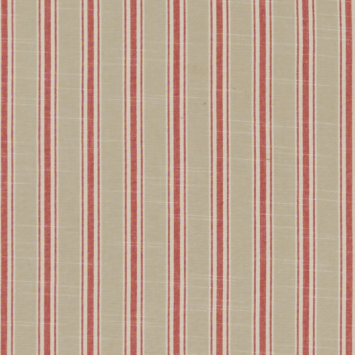 Clarke & Clarke Thornwick Red