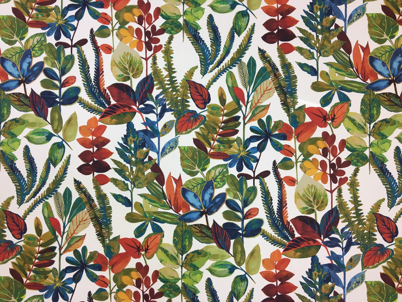 Prestigious Tonga Spice