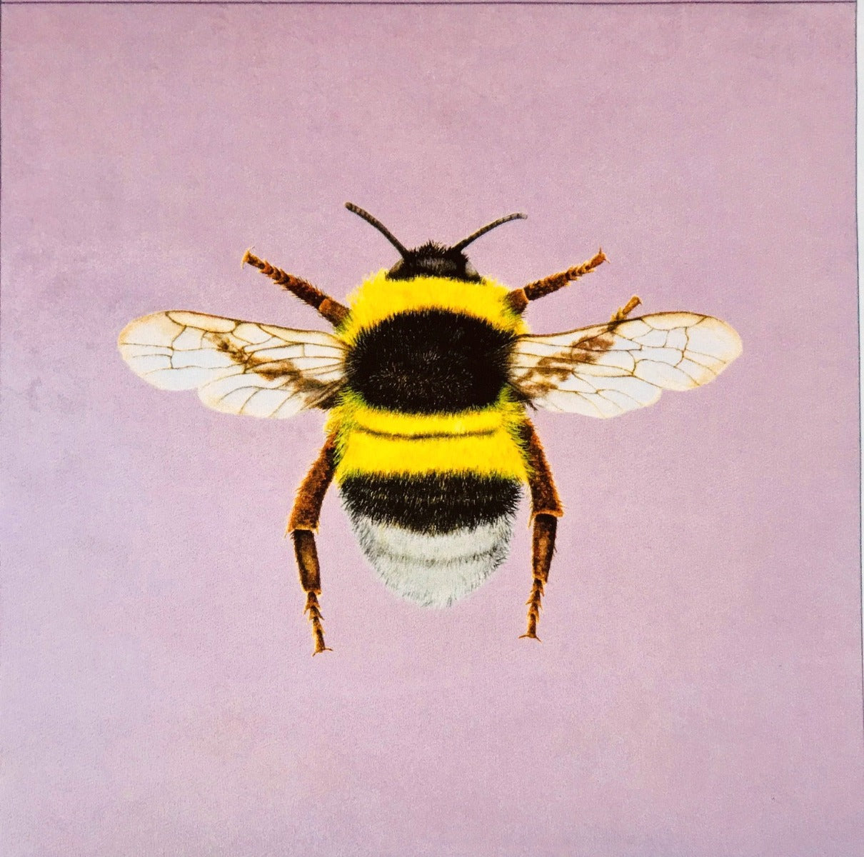 Shimmer Velvet Bumblebee Cushion Panel Blush