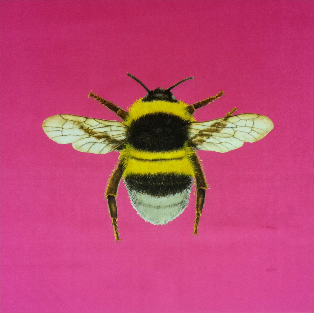 Shimmer Velvet Bumblebee Cushion Panel Sherbet