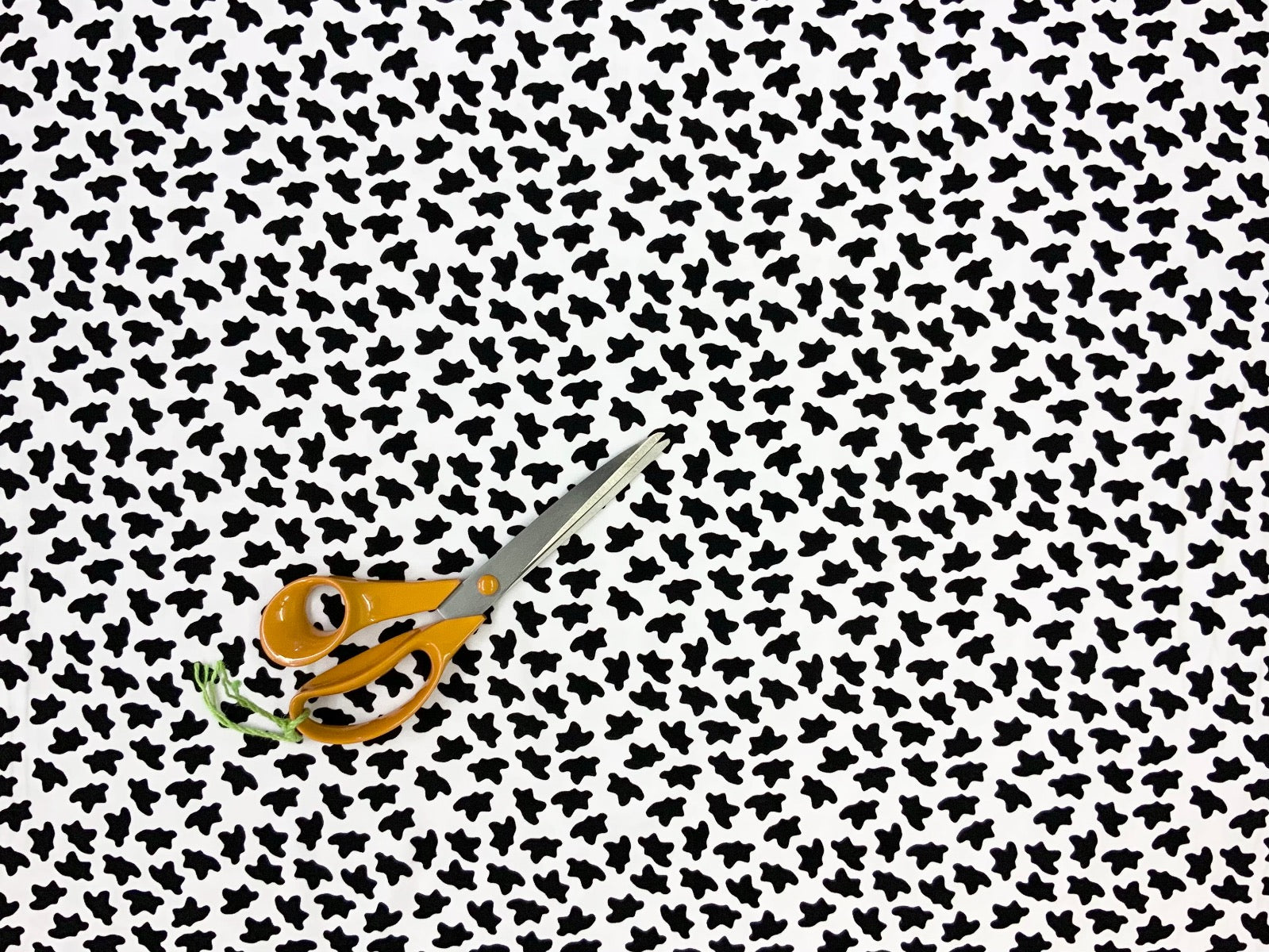 B346 Cow Print Jersey Black and White