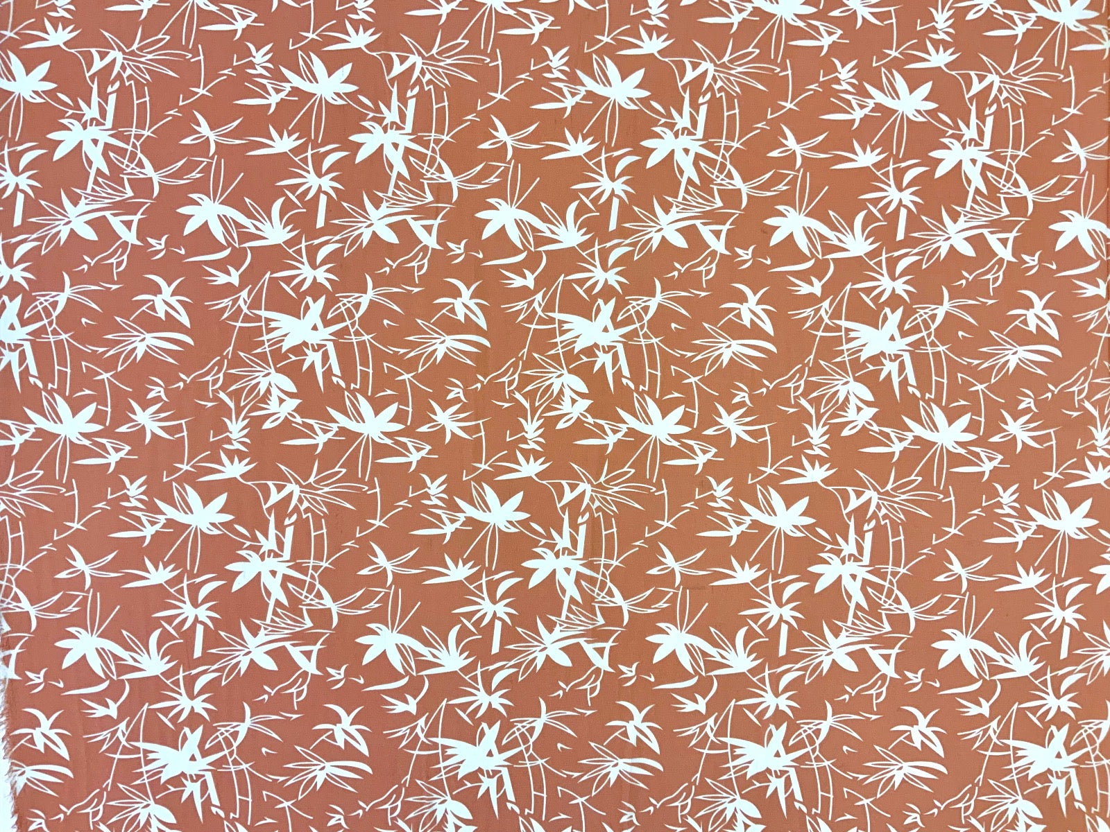 F214 Marcia Coral